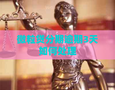 微粒贷分期逾期3天如何处理