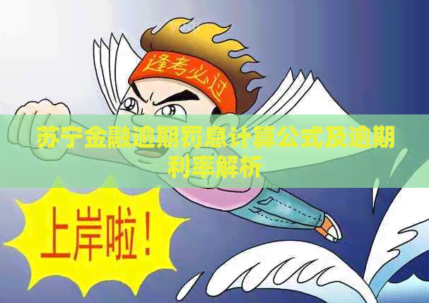 苏宁金融逾期罚息计算公式及逾期利率解析