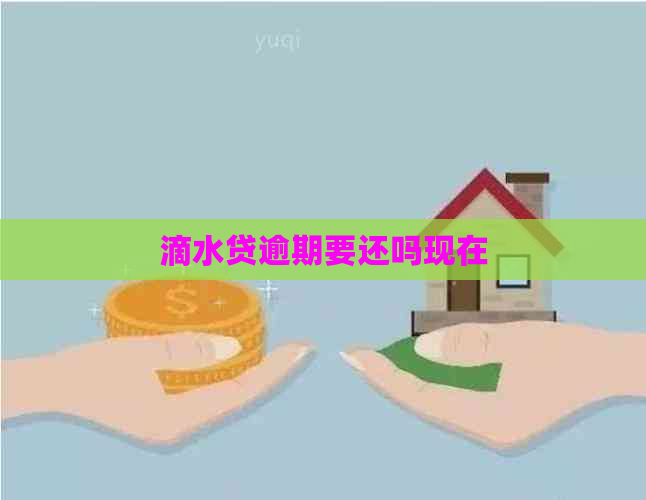 滴水贷逾期要还吗现在