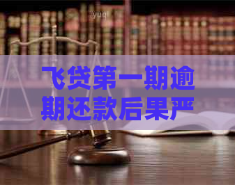 飞贷之一期逾期还款后果严重吗