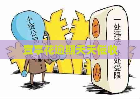 宣享花逾期天天