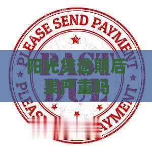 阳光贷逾期后果严重吗