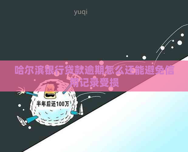 哈尔滨银行贷款逾期怎么还能避免信用记录受损