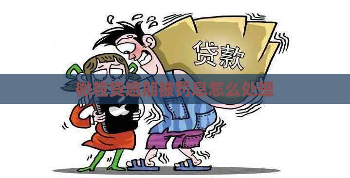 微粒贷逾期被罚息怎么处理