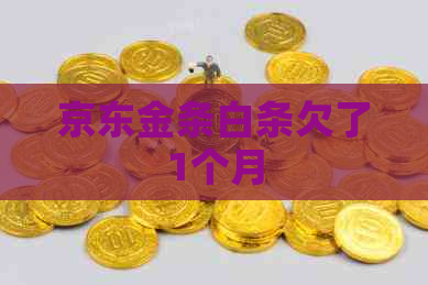 京东金条白条欠了1个月