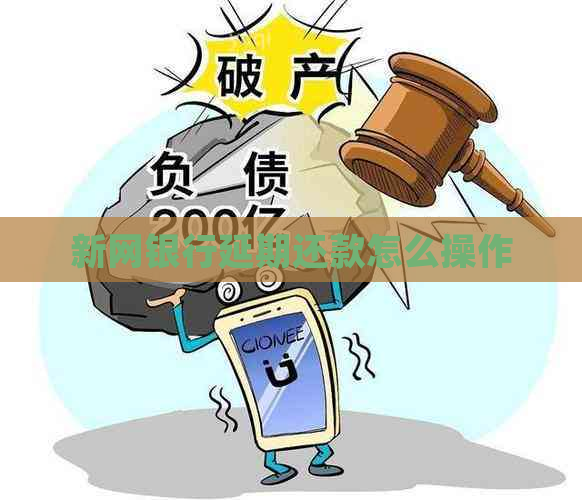 新网银行延期还款怎么操作