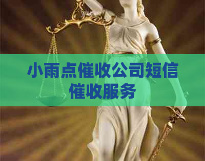 小雨点公司短信服务