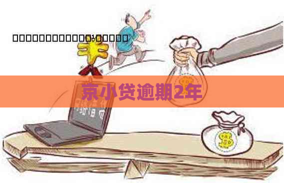 京小贷逾期2年
