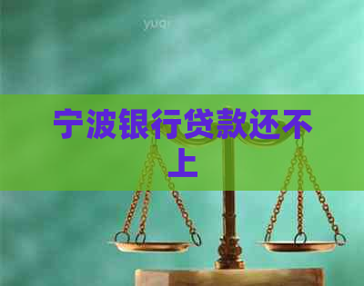 宁波银行贷款还不上