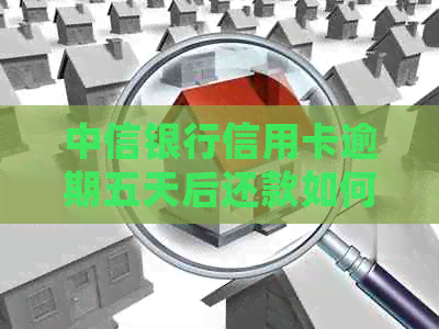 中信银行信用卡逾期五天后还款如何处理？了解后果并解决办法！