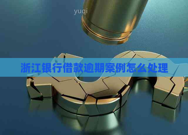 浙江银行借款逾期案例怎么处理