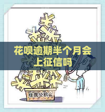 白条逾期半个月会上吗