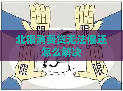 北银消费贷无法偿还怎么解决