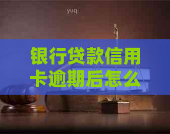 银行贷款信用卡逾期后怎么处理