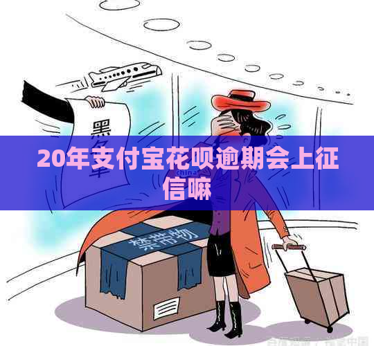 20年信用卡白条逾期会上嘛