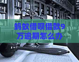 蚂蚁信用卡借款9万逾期怎么办
