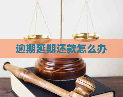 逾期延期还款怎么办