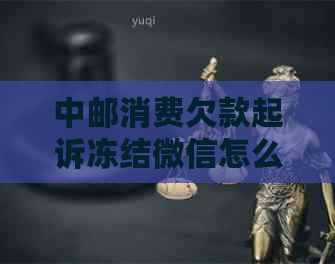 中邮消费欠款起诉冻结微信怎么应对