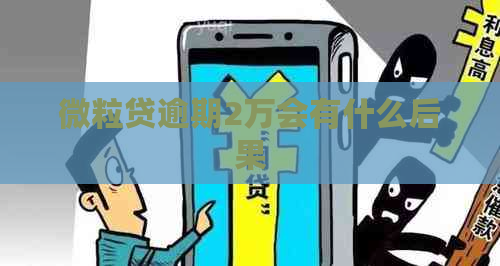 微粒贷逾期2万会有什么后果