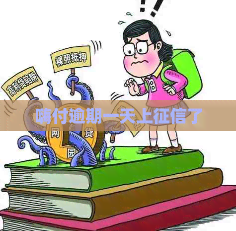 嗨付逾期一天上了
