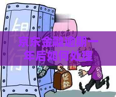 京东金融逾期一年后如何处理