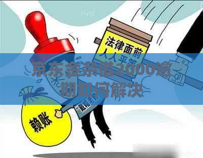 京东金条借2000逾期如何解决