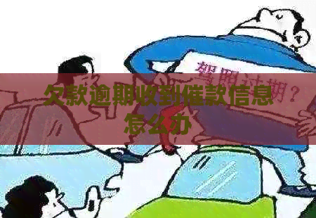 欠款逾期收到催款信息怎么办