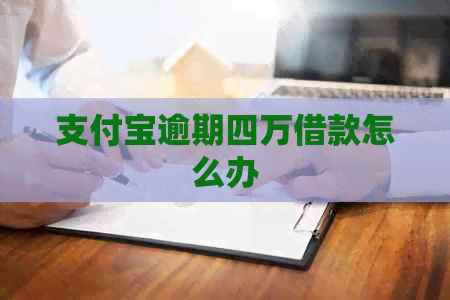 信用卡逾期四万借款怎么办
