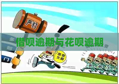 信用卡逾期与白条逾期