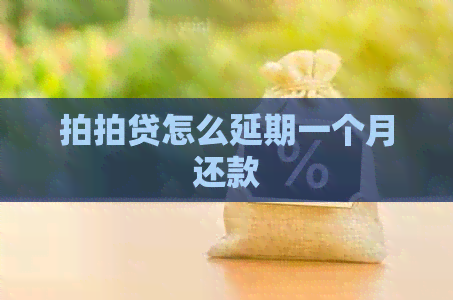 怎么延期一个月还款