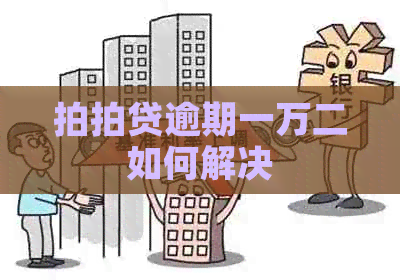 逾期一万二如何解决