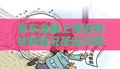 京东金融上报逾期材料情况及应对措施