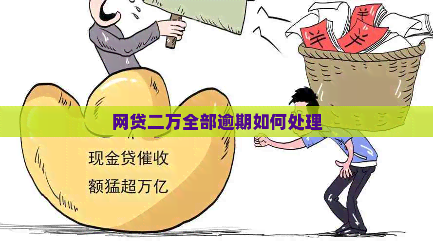 网贷二万全部逾期如何处理