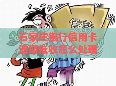 石家庄银行信用卡逾期怎么处理