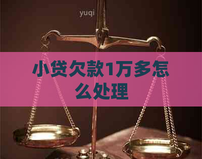 小贷欠款1万多怎么处理