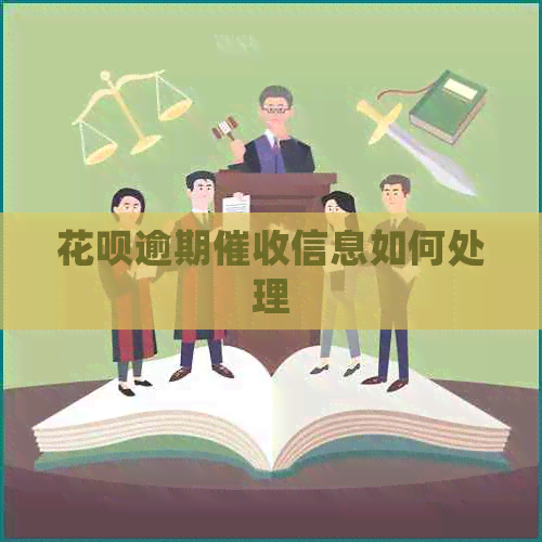 白条逾期信息如何处理