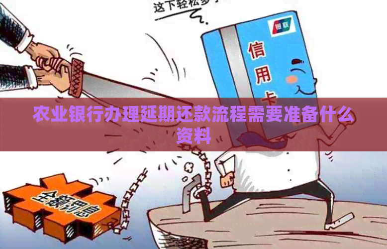 农业银行办理延期还款流程需要准备什么资料