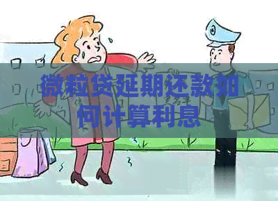 微粒贷延期还款如何计算利息