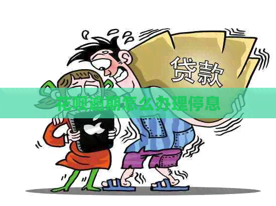 白条逾期怎么办理停息