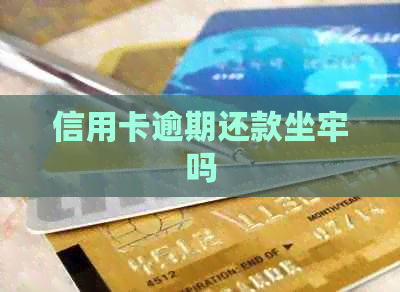 信用卡逾期还款坐牢吗