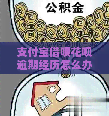 信用卡信用卡白条逾期经历怎么办