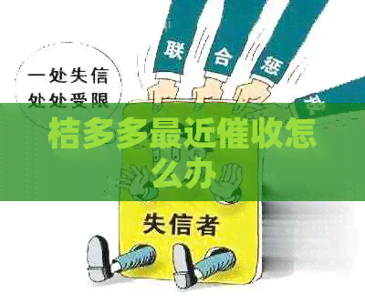 桔多多最近怎么办