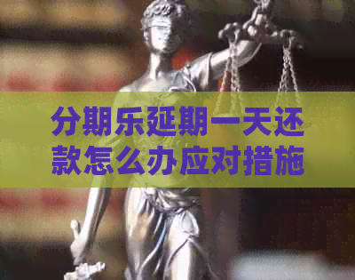 延期一天还款怎么办应对措施