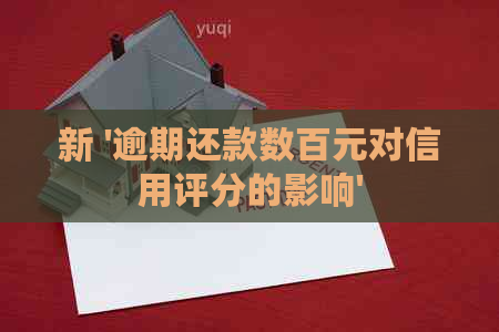 新 '逾期还款数百元对信用评分的影响'