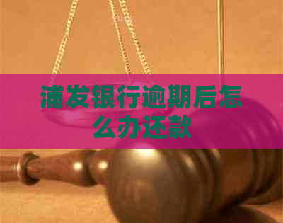浦发银行逾期后怎么办还款