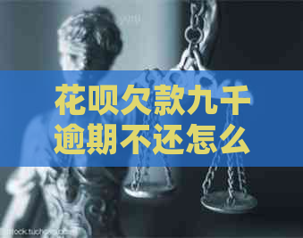 白条欠款九千逾期不还怎么办
