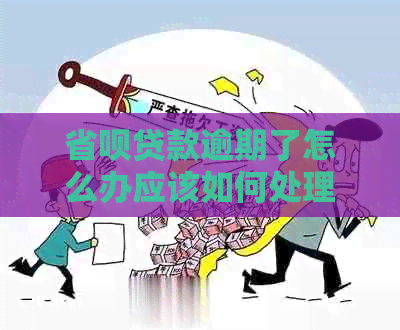 省呗贷款逾期了怎么办应该如何处理