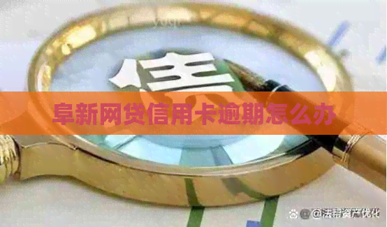 阜新网贷信用卡逾期怎么办