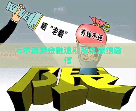 海尔消费金融逾期多久冻结微信