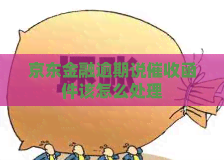 京东金融逾期说函件该怎么处理